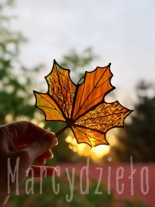 IMG_20260914_184505.jpg
