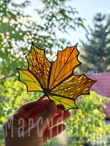 IMG_20260915_174512.jpg