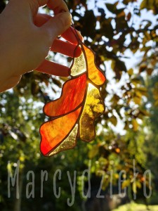 IMG_20260915_170449.jpg