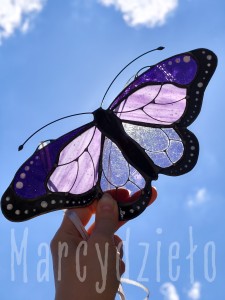 IMG_20260604_123819.jpg